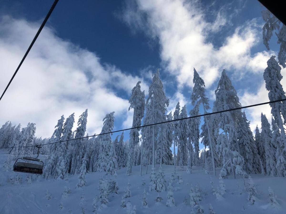 Apparthotel Restaurant Steiners Eben Im Pongau Exteriör bild